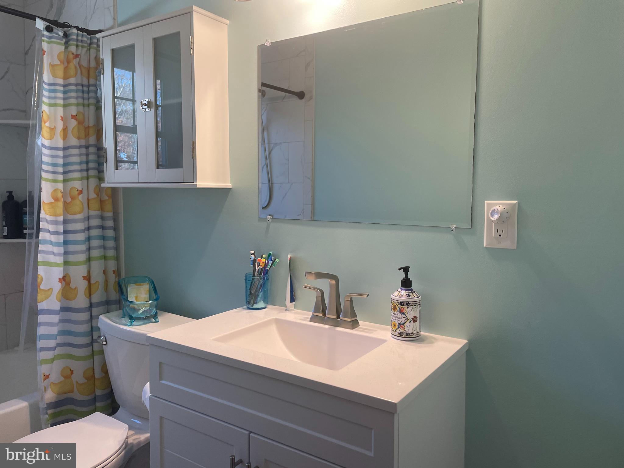 13710 South Springfield Road Brandywine, MD 20613 - Photo 31 of 64 a bathroom with a sink a toilet and mirror