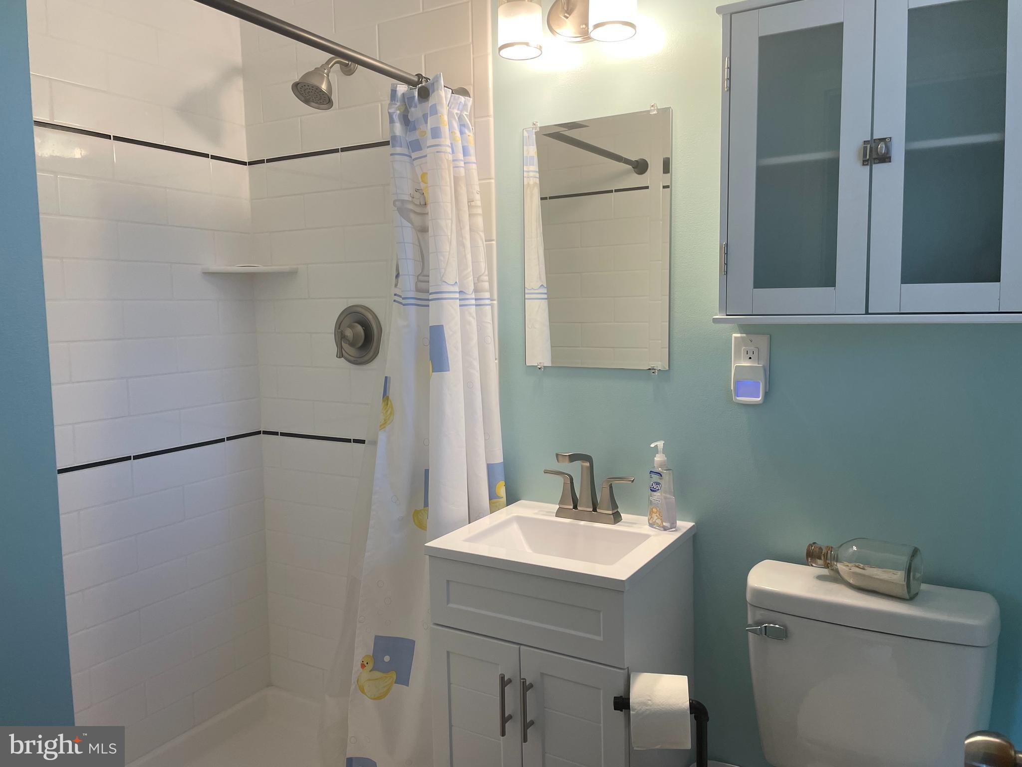 13710 South Springfield Road Brandywine, MD 20613 - Photo 36 of 64 a bathroom with a sink a toilet and shower