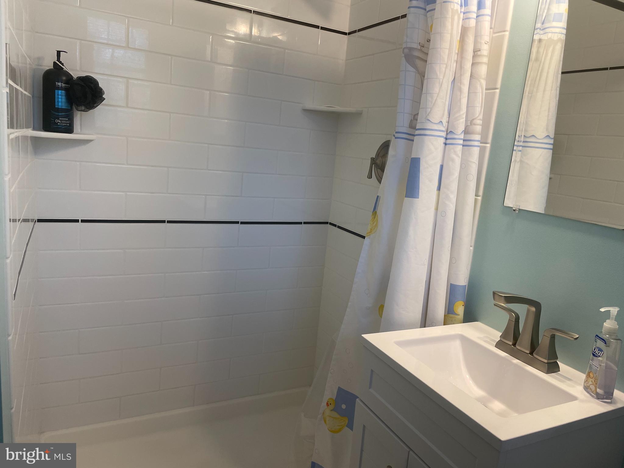 13710 South Springfield Road Brandywine, MD 20613 - Photo 37 of 64 a bathroom with a sink and a mirror