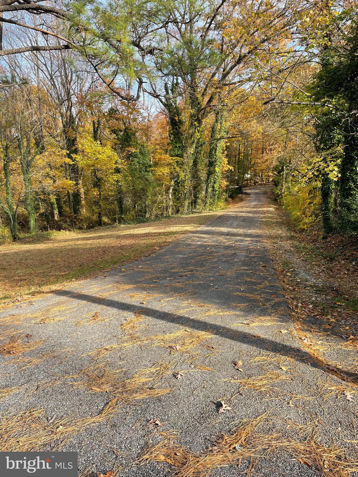 13710 South Springfield Road Brandywine, MD 20613 - Photo 60 of 64 a view of a yard with large trees