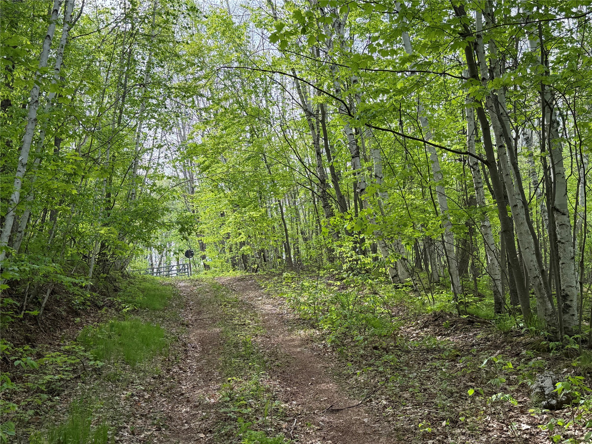 Lot 4 Peterson Road Foxboro, WI 54836 - Photo 9 of 11