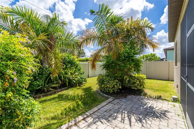 a view of a garden with plants