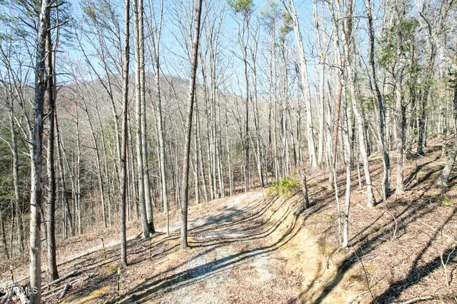 $450,000 | 2087 Fodderstack Mountain Loop, Greeneville, TN 37745