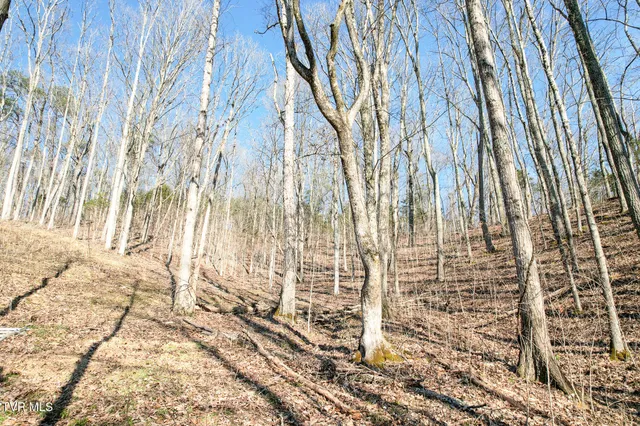 $450,000 | 2087 Fodderstack Mountain Loop, Greeneville, TN 37745