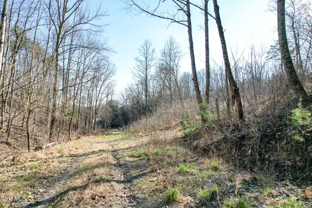 $450,000 | 2087 Fodderstack Mountain Loop, Greeneville, TN 37745