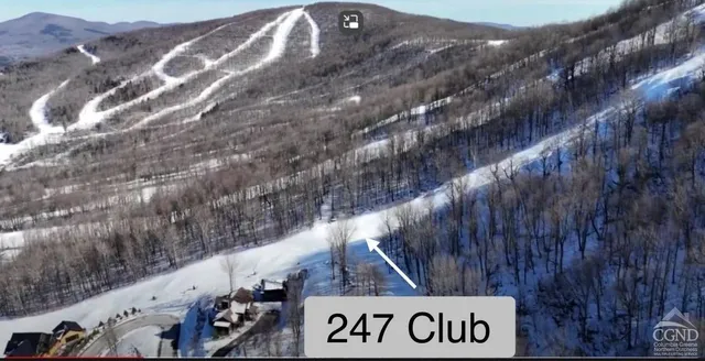 a view of a dry yard