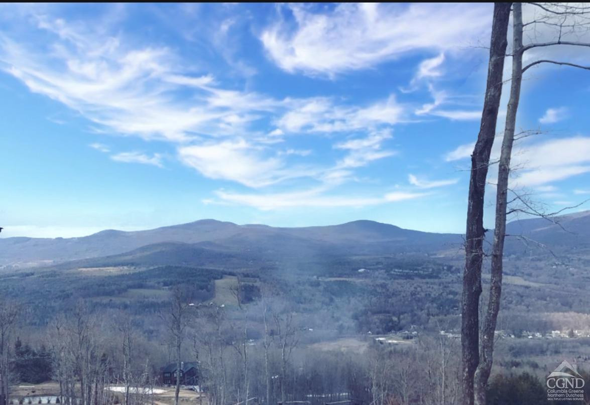 247 Club Road Windham, NY 12496 - Photo 6 of 16 a view of a dry yard