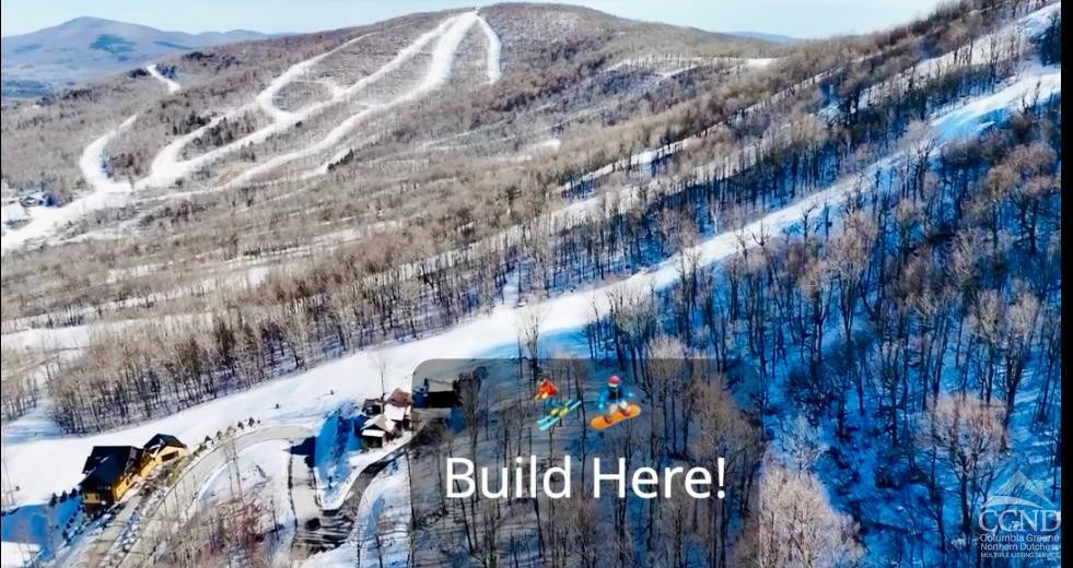 247 Club Road Windham, NY 12496 - Photo 7 of 16 a view of an outdoor space