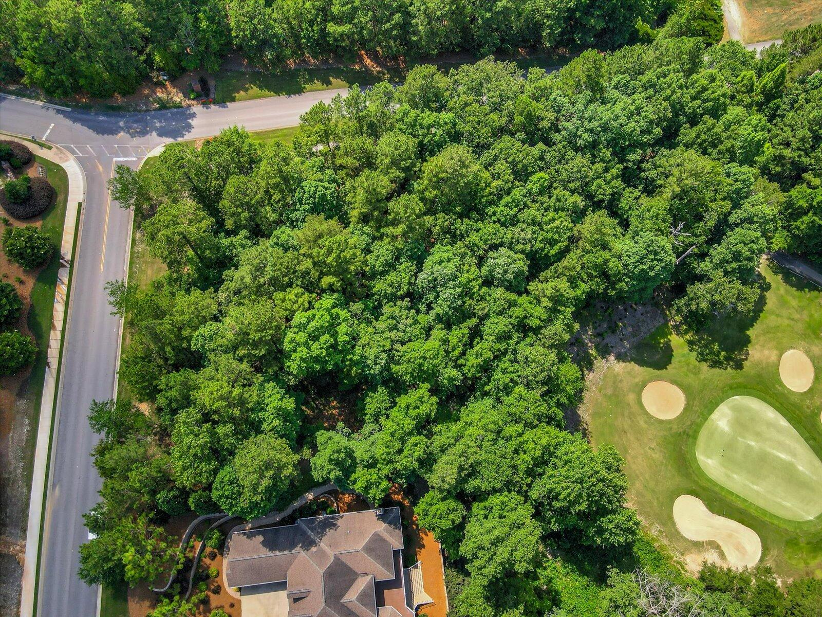 Lot 1 Steeplechase Road Aiken, SC 29803 - Photo 12 of 19 Gallery Image 12