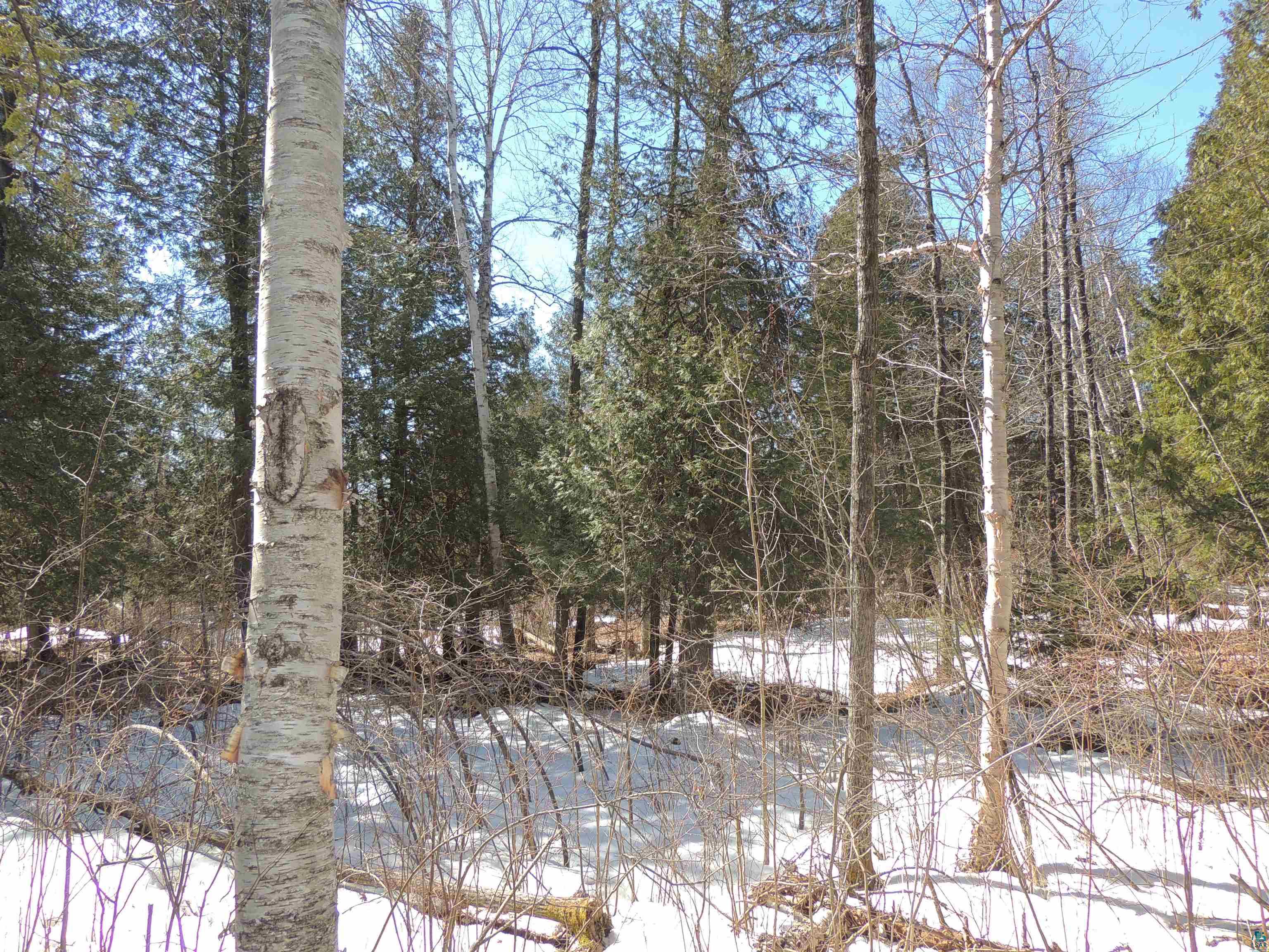 X30 Isak Ridge Lutsen, MN 55612 - Photo 21 of 28