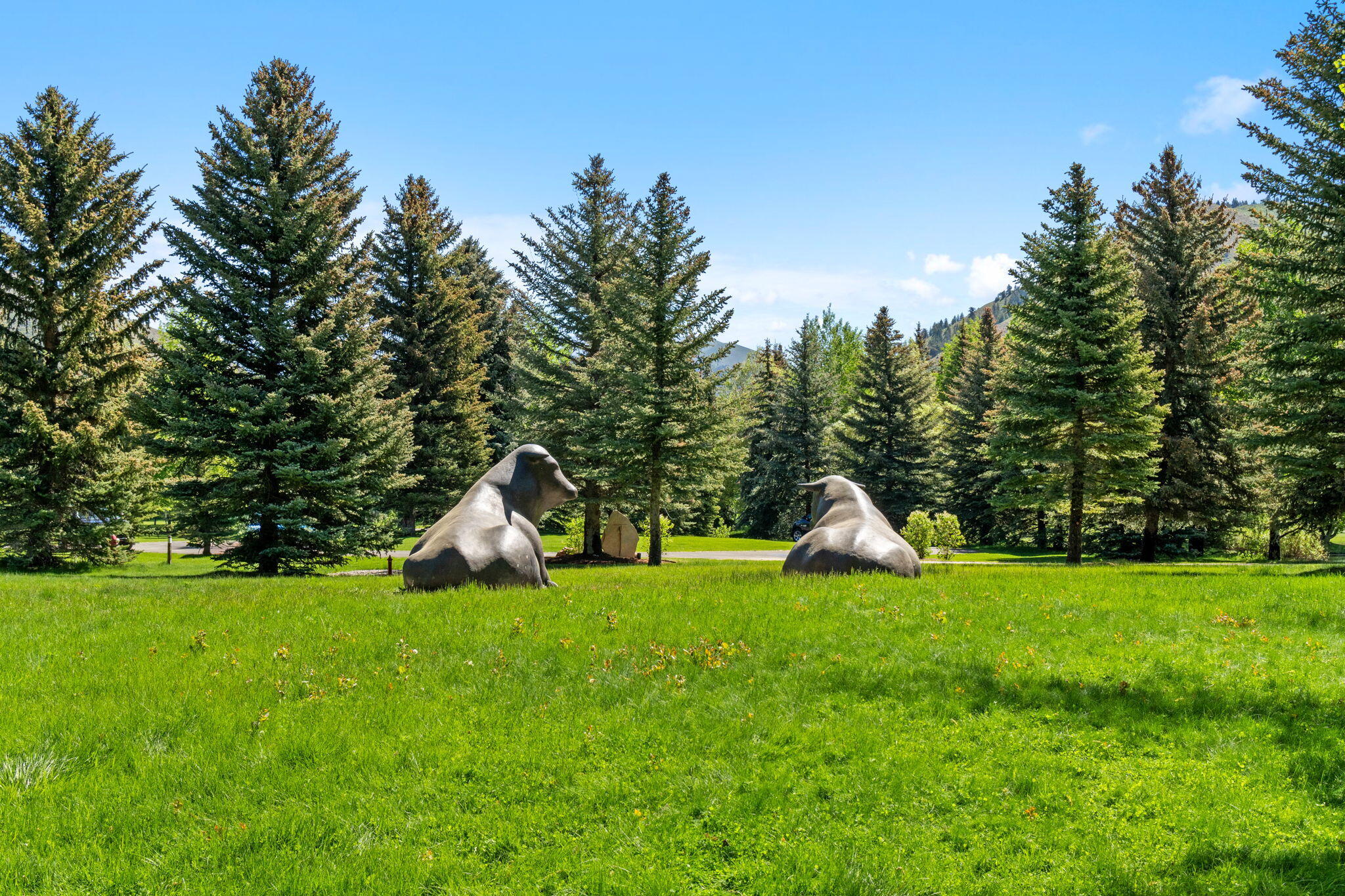 121 Feather Lane Hailey, ID 83333 - Photo 49 of 49 9.63 Acres
