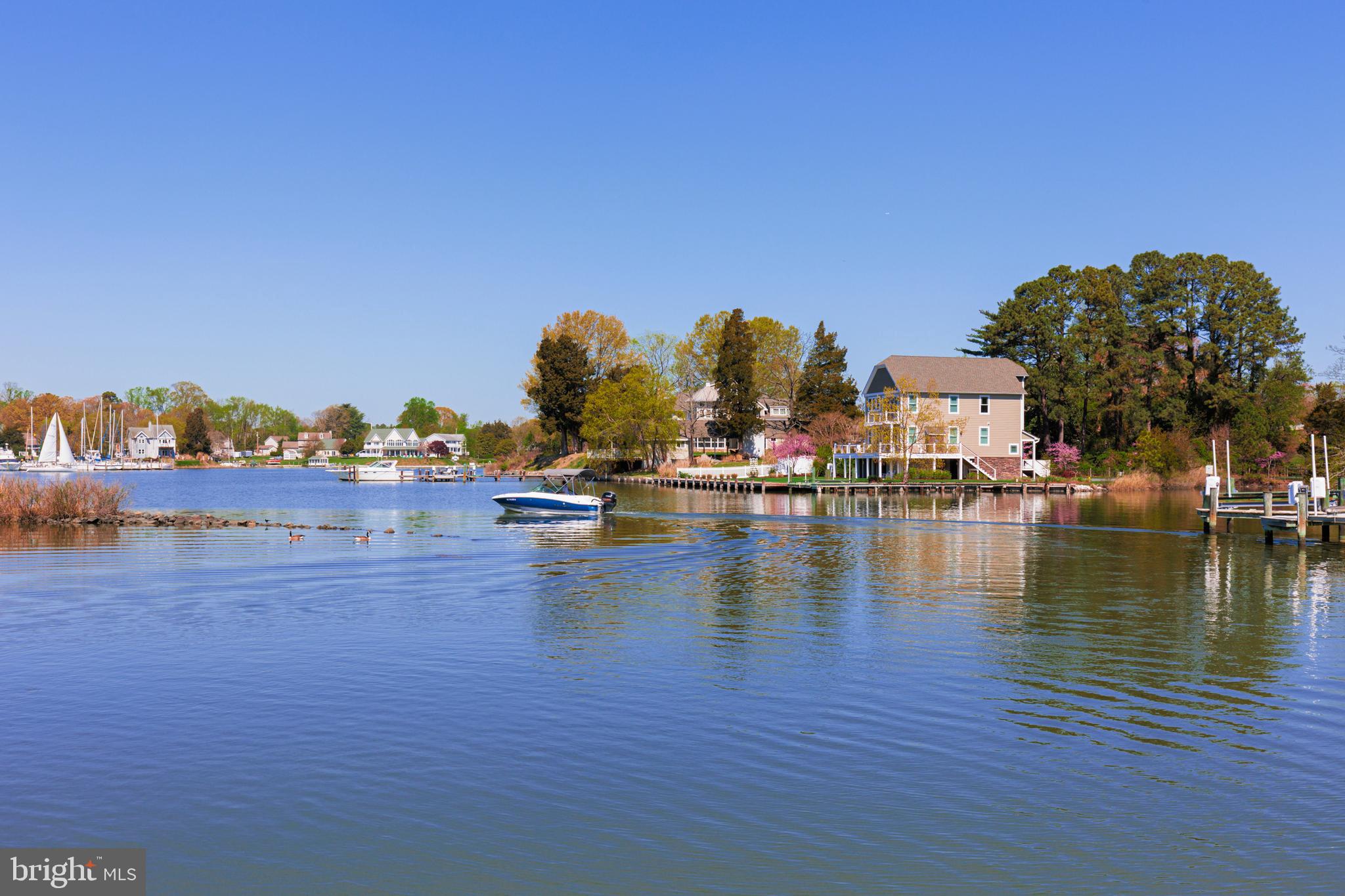 313 Cadle Avenue Edgewater, MD 21037 - Photo 56 of 62