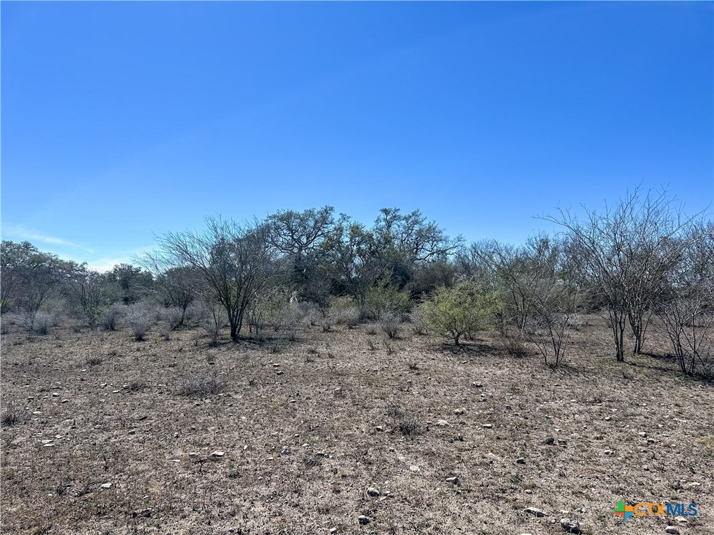 1174 Charco Road Beeville, TX 78102 - Photo 37 of 42