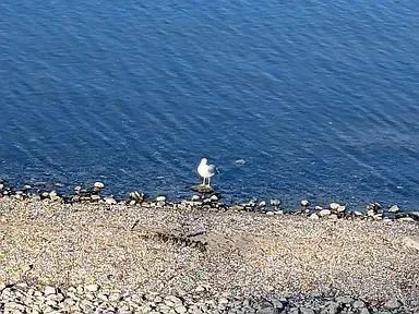 $420,000 | 602 South Oak Street, Lake City, MN 55041