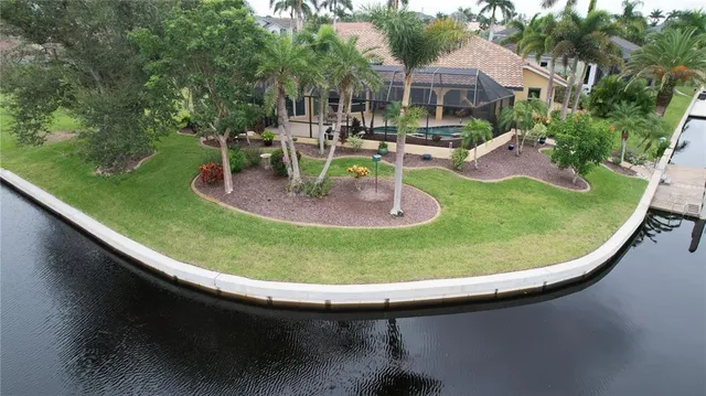 a view of a plant in a pot