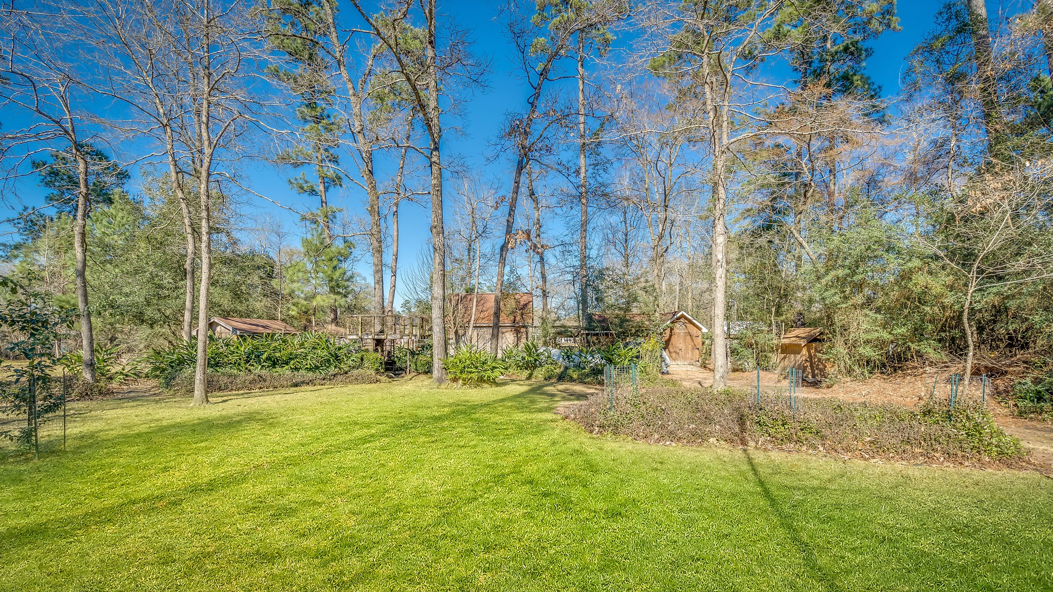 2500 Centerline Road Conroe, TX 77384 - Photo 28 of 28 Discover a serene backyard oasis with lush greenery, mature trees, and ample open space perfect for relaxation and outdoor activities