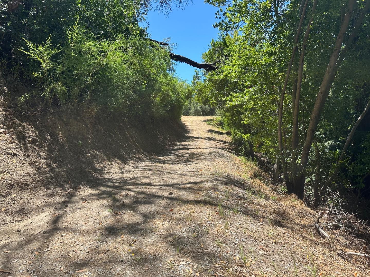 0 Main Boulevard Los Gatos, CA 95033 - Photo 4 of 9 a view of a yard with a fountain