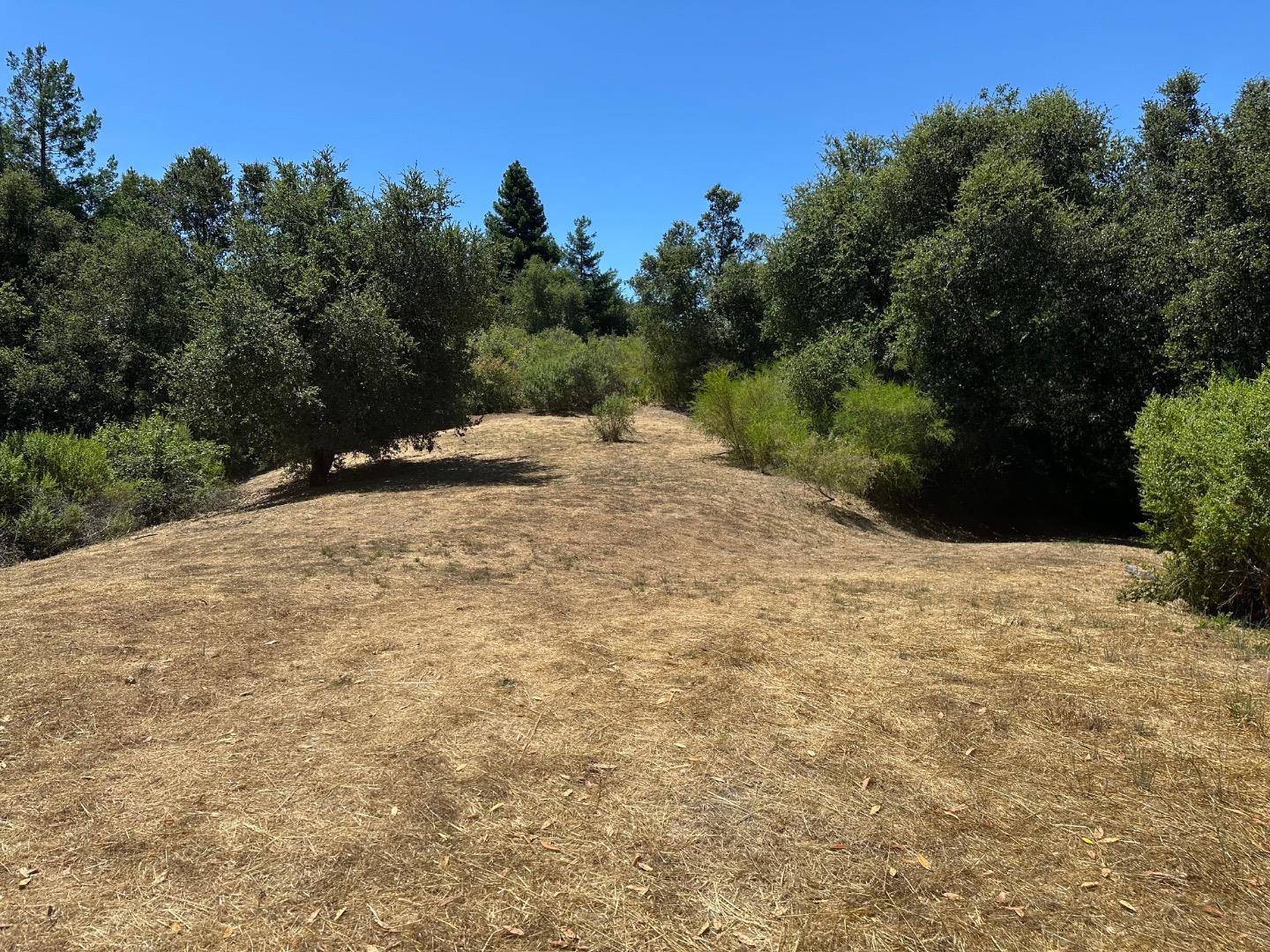 0 Main Boulevard Los Gatos, CA 95033 - Photo 5 of 9 a view of a backyard of a house