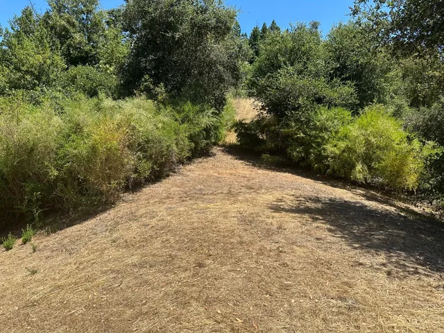 a view of a backyard of a house