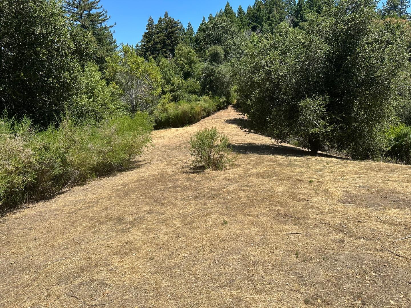 0 Main Boulevard Los Gatos, CA 95033 - Photo 7 of 9 a view of a yard with trees