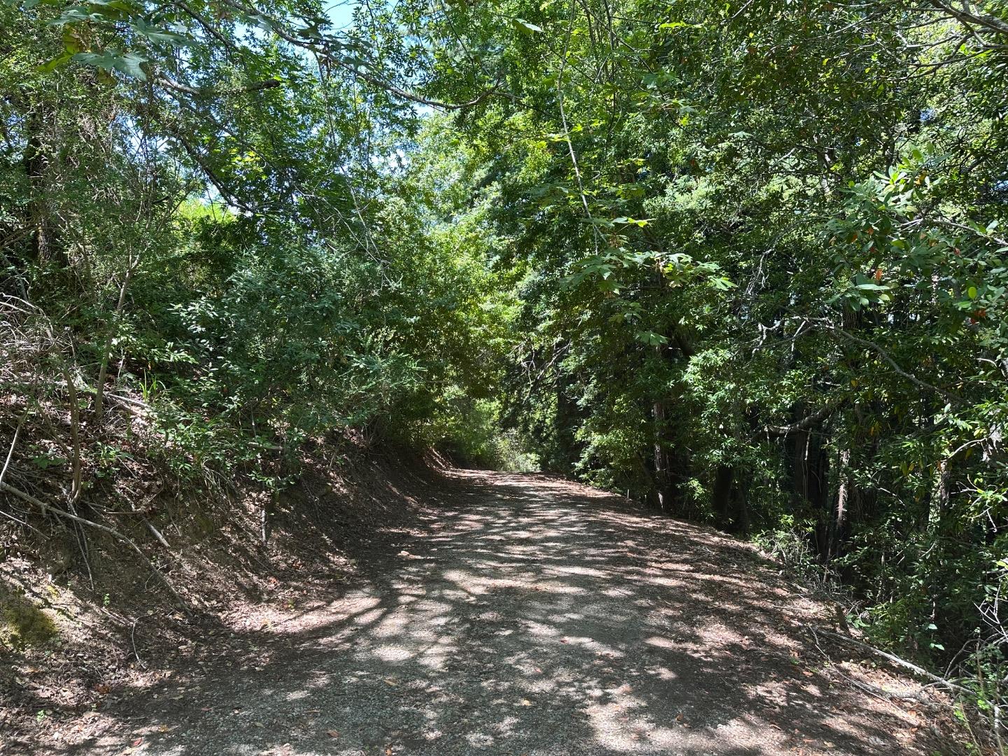 0 Main Boulevard Los Gatos, CA 95033 - Photo 9 of 9 a view of a forest with trees