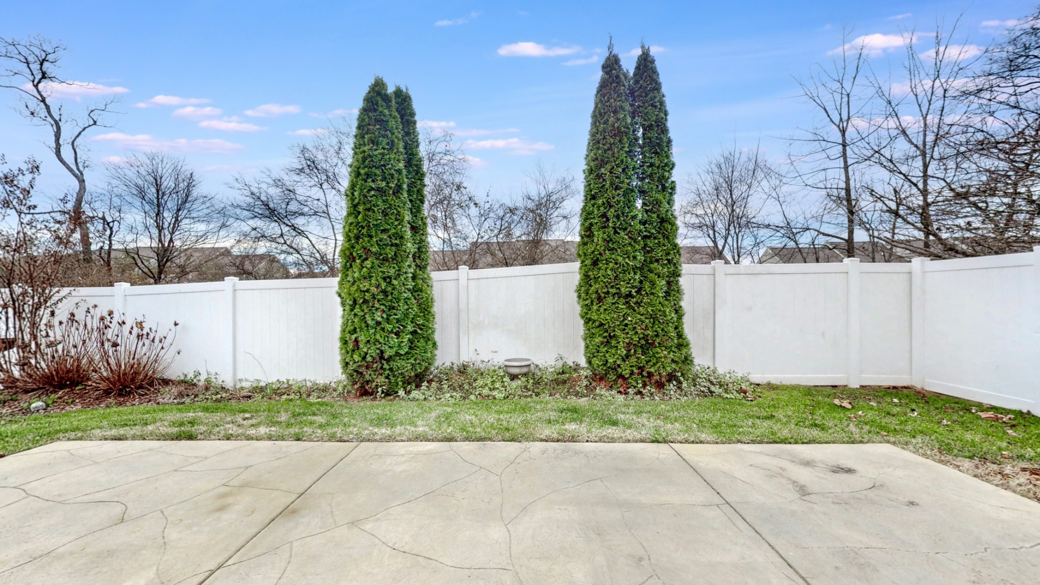 1098 Misty Morn Circle Spring Hill, TN 37174 - Photo 19 of 23 a view of a yard