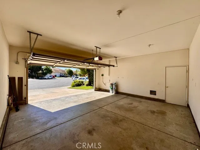 a view of a yard with plants and large trees
