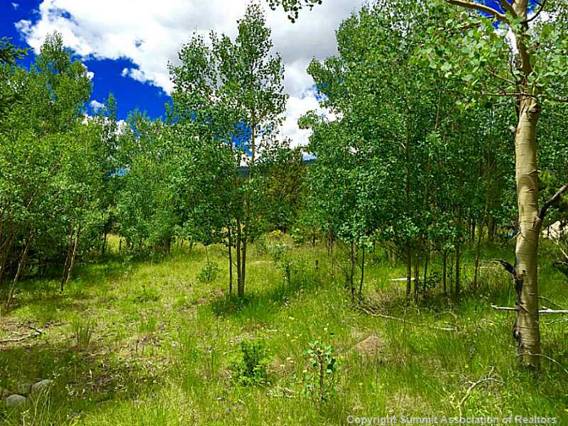 238 Quartzville Road Alma, CO 80420 - Photo 1 of 6 Land/Lot.