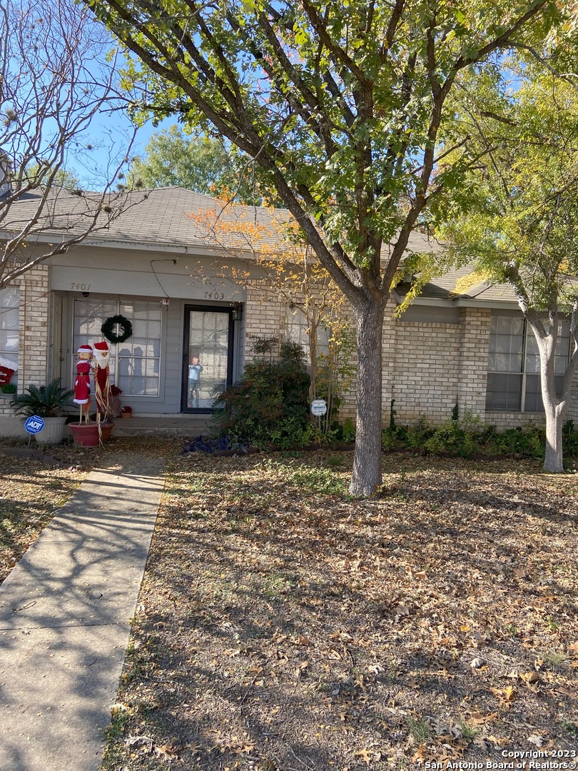 a view of a house with a tree in front
