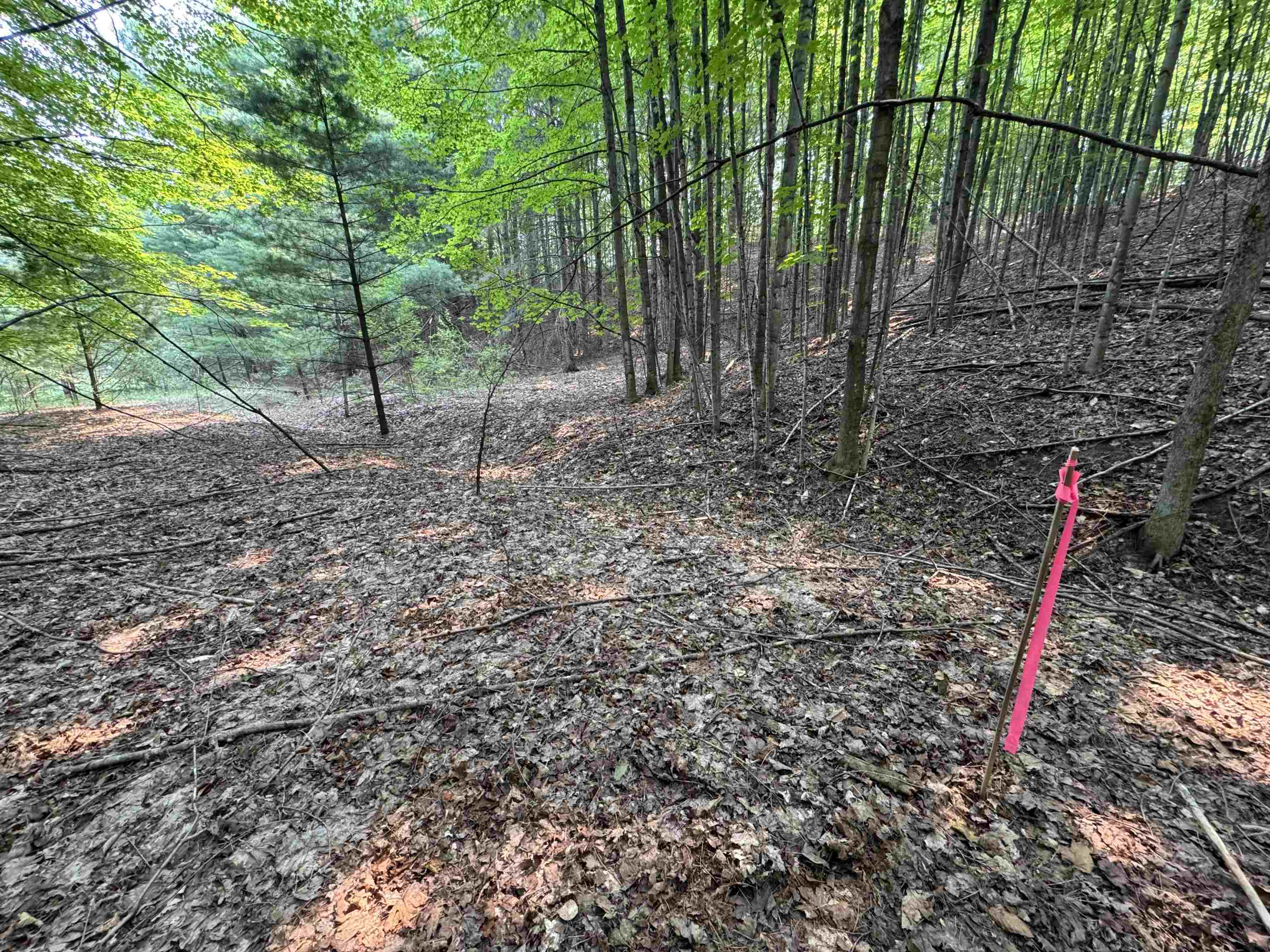 Lot #4 East Bellinger Road, Unit BELLINGER ESTATES Cedar, MI 49621 - Photo 13 of 27