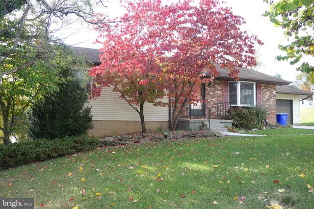 a backyard of a house with plants and large tree