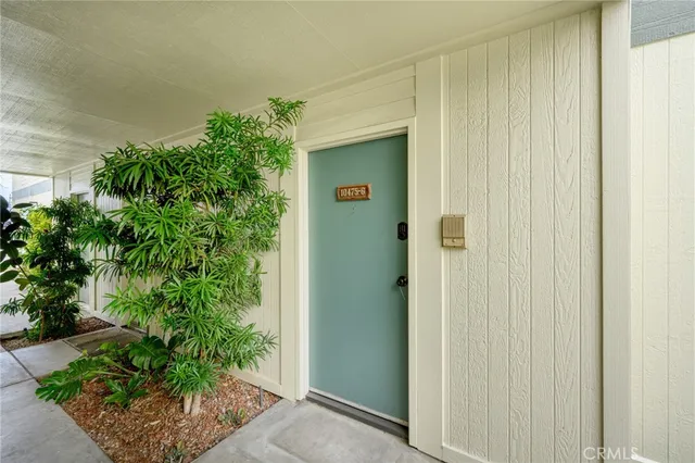 a door with a potted plant in front of it