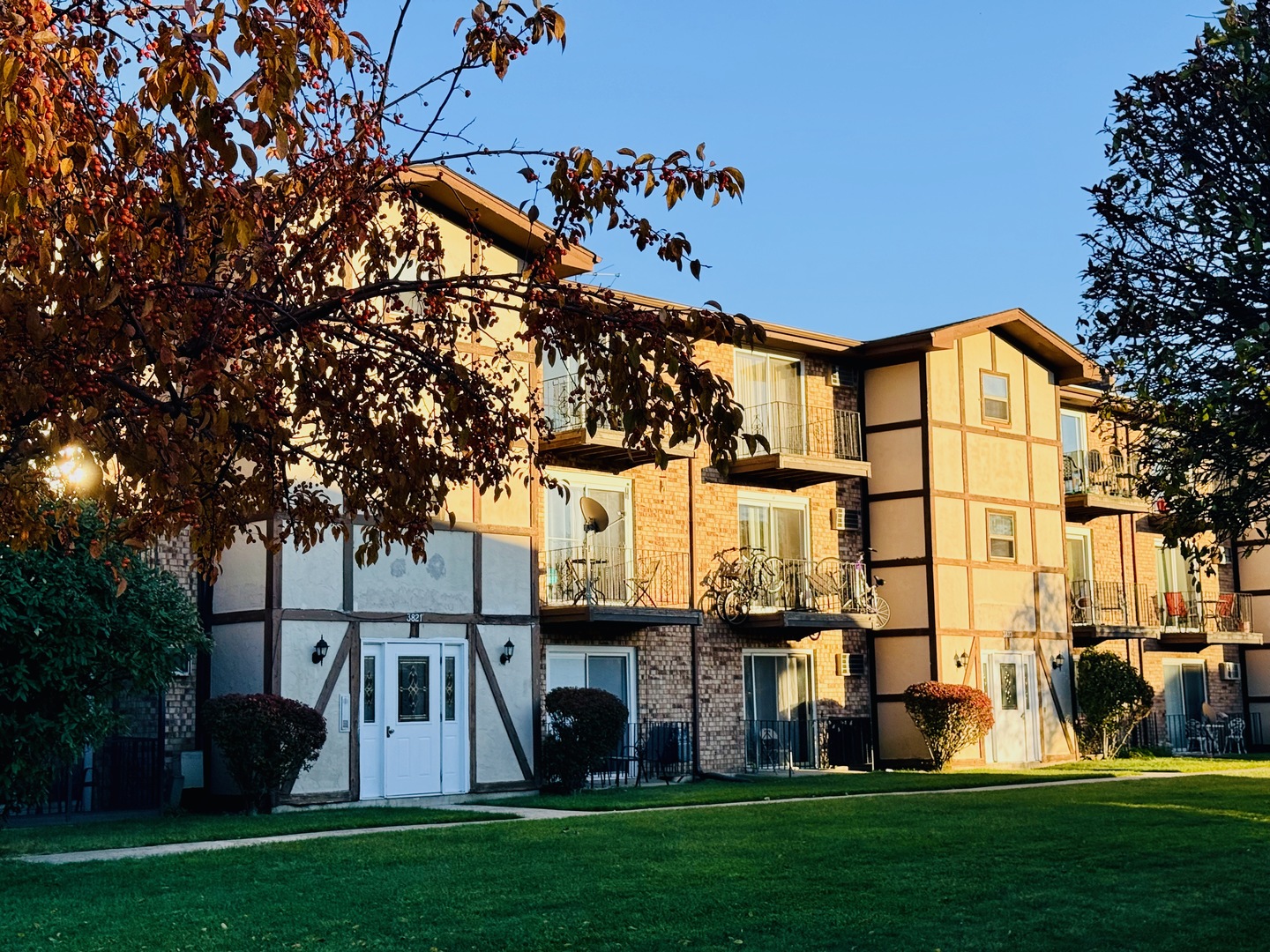 3823 West 123rd Street, Unit 302 Alsip, IL 60803 - Photo 32 of 35 a front view of a house with a garden and tree
