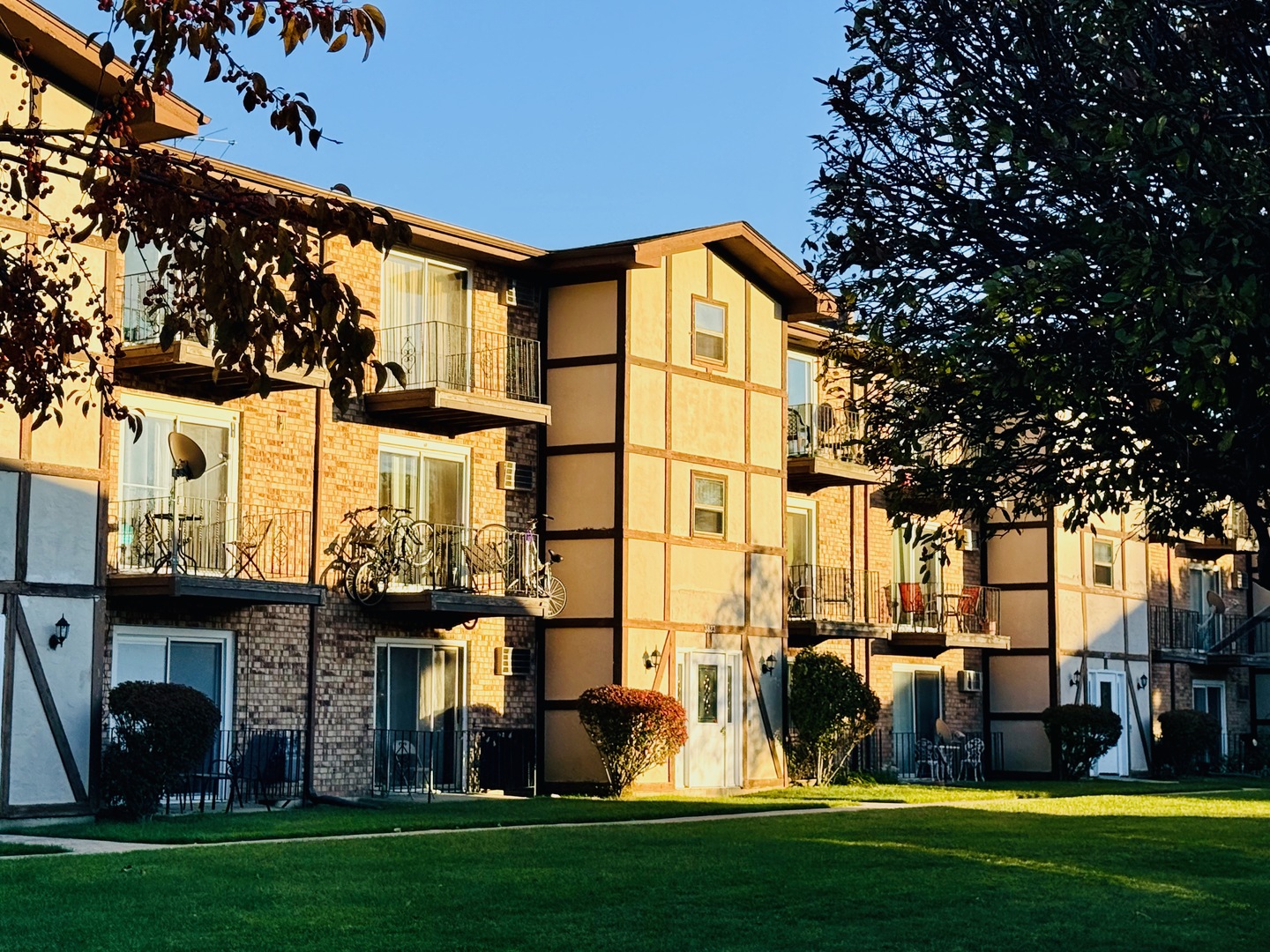 3823 West 123rd Street, Unit 302 Alsip, IL 60803 - Photo 33 of 35 a front view of a house with a garden and plants