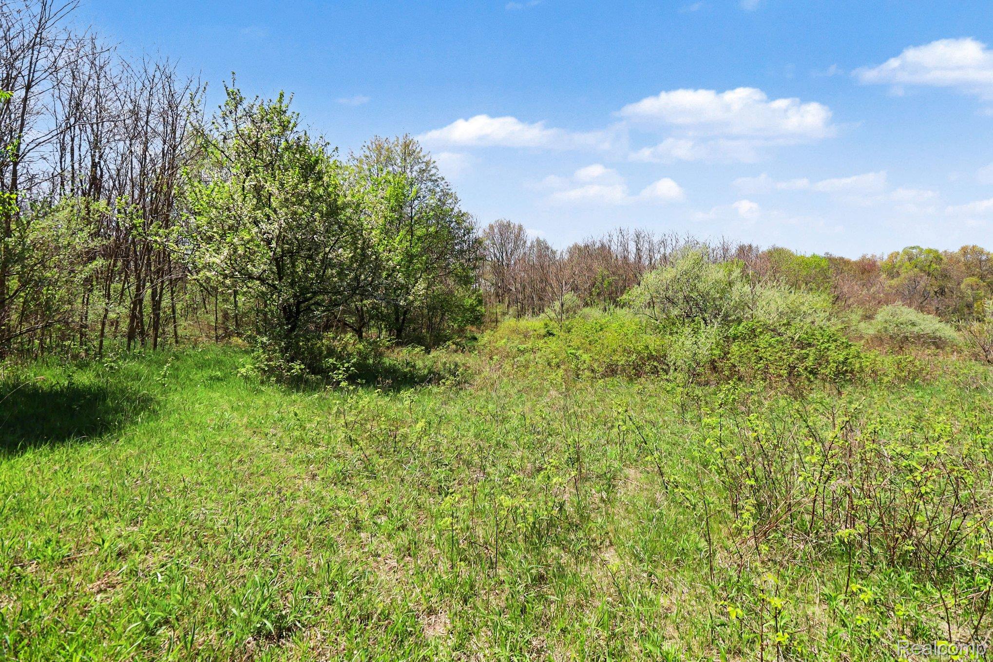 Parcel #3 Parcel Road Holly, MI 48442 - Photo 5 of 21 002_file_5161.jpg