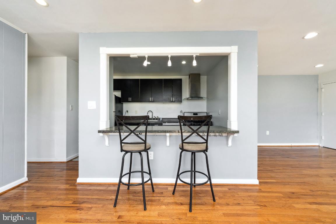 9278 Adelphi Road, Unit 301 Hyattsville, MD 20783 - Photo 10 of 35 Breakfast Bar