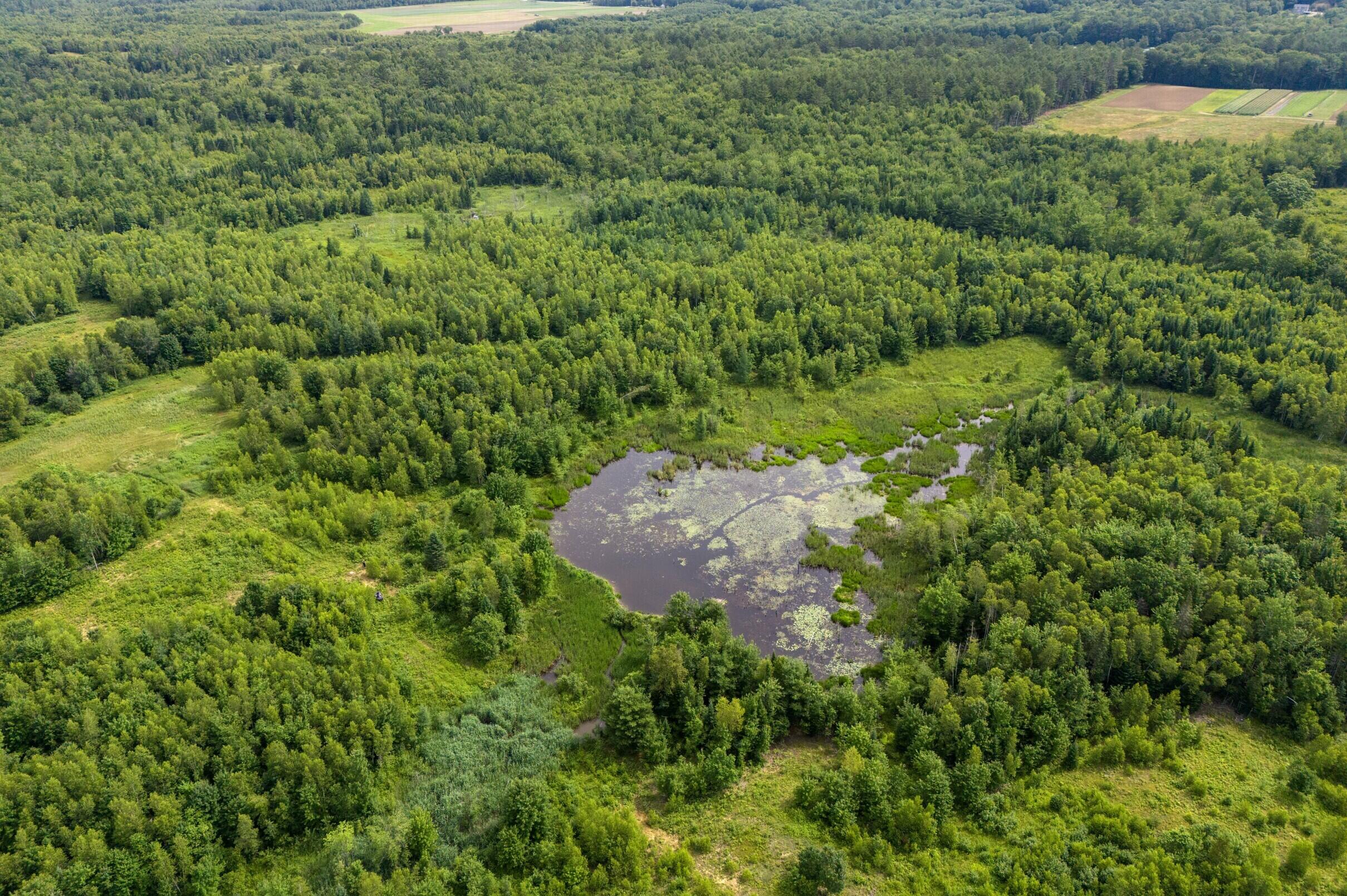 480 County Road Livermore Falls, ME 04254 - Photo 22 of 29 22-480-Leeds-Rd-22-