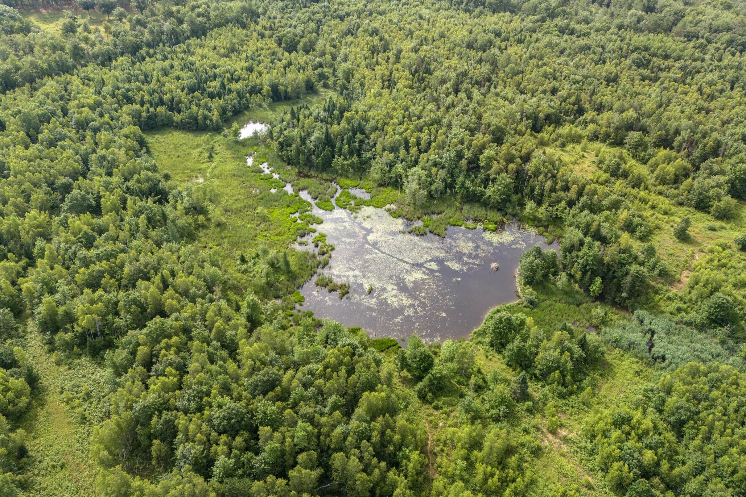 480 County Road Livermore Falls, ME 04254 - Photo 23 of 29 23-480-Leeds-Rd-23-