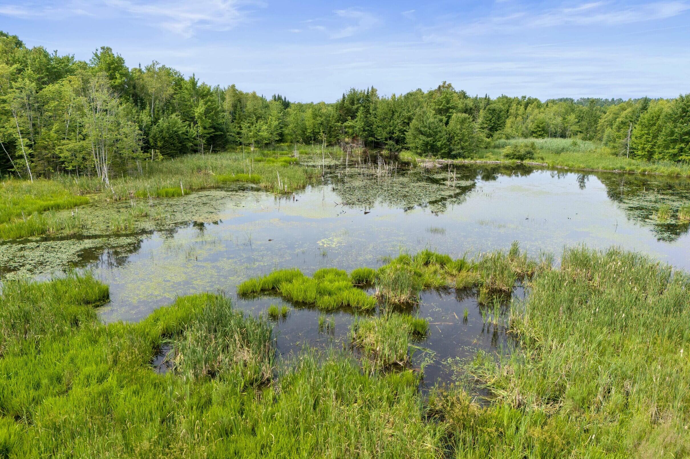 480 County Road Livermore Falls, ME 04254 - Photo 26 of 29 26-480-Leeds-Rd-26-