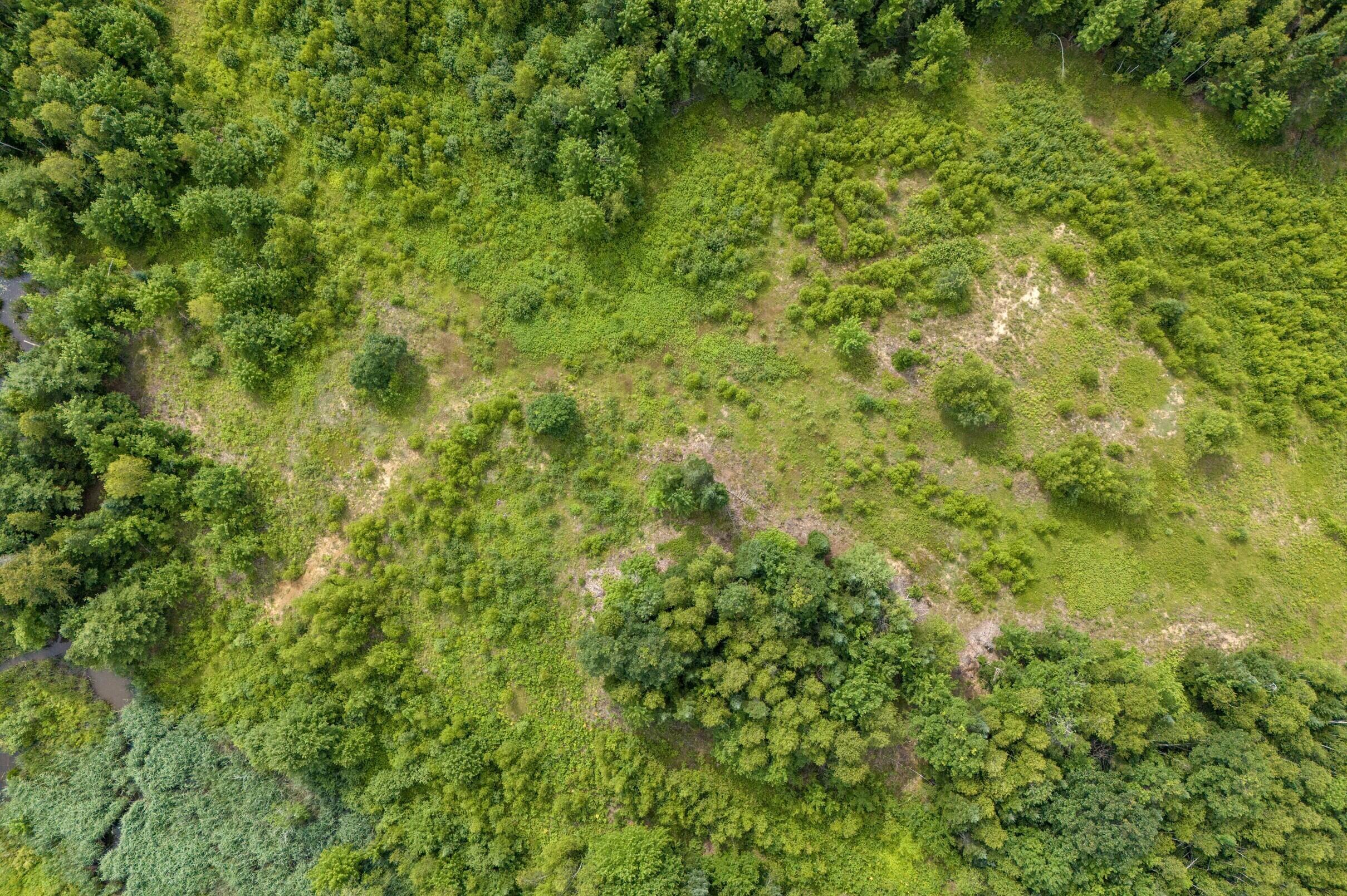 480 County Road Livermore Falls, ME 04254 - Photo 29 of 29 29-480-Leeds-Rd-29-