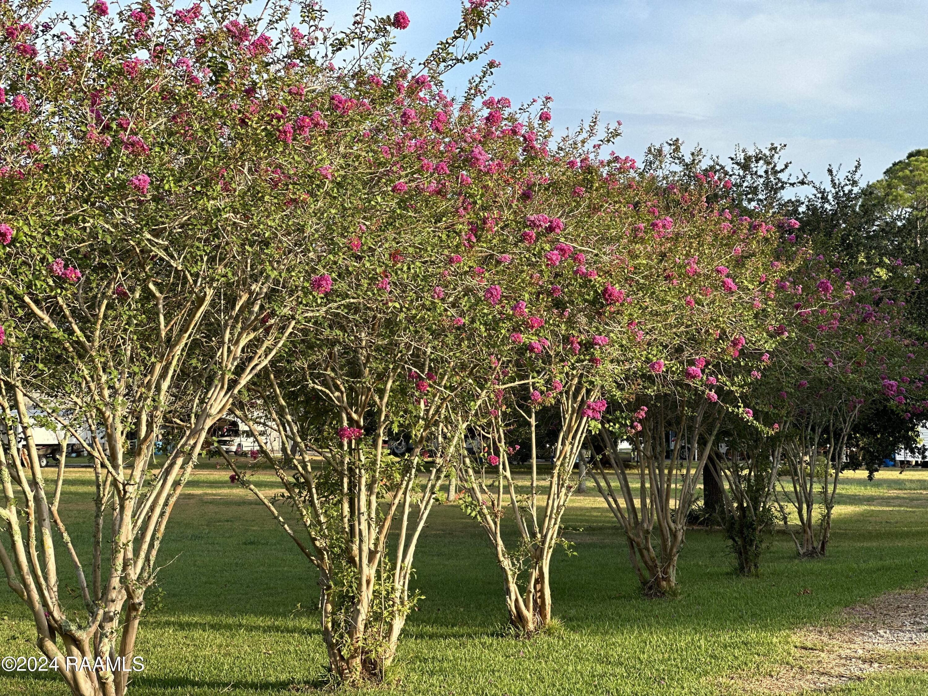 1082 B B Senior High Road Breaux Bridge, LA 70517 - Photo 8 of 31 IMG_2168