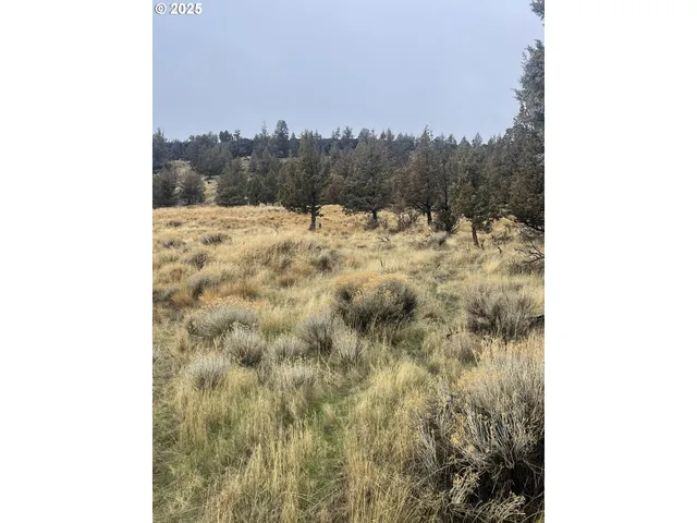 a view of a lake with a yard