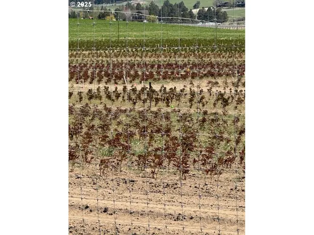 $679,900 | 70445 Northwest Lower Valley Drive, Terrebonne, OR 97760