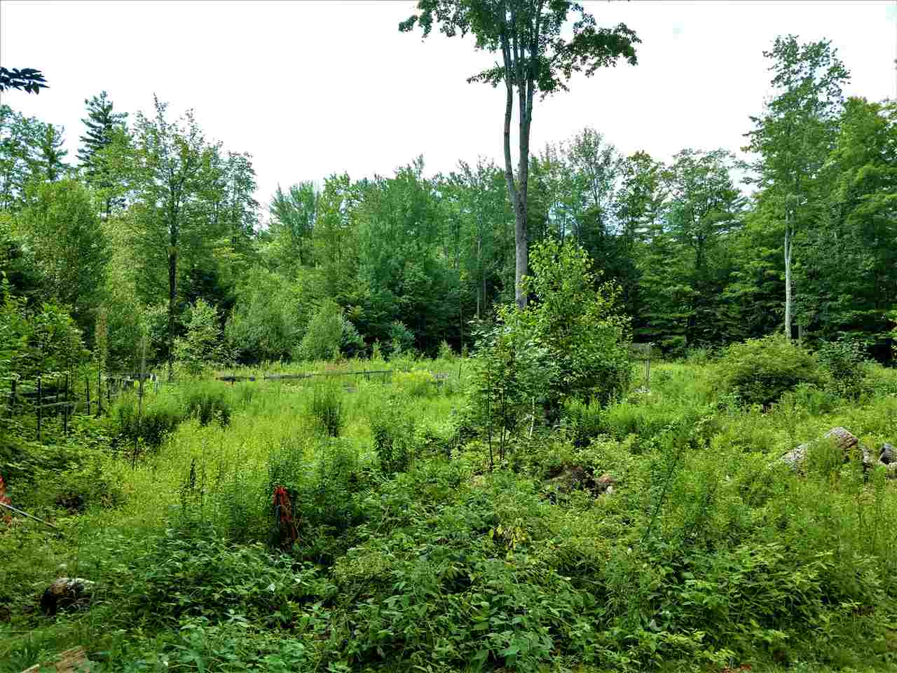 225 Pine Hill Road Ossipee, NH 03814 - Photo 14 of 14