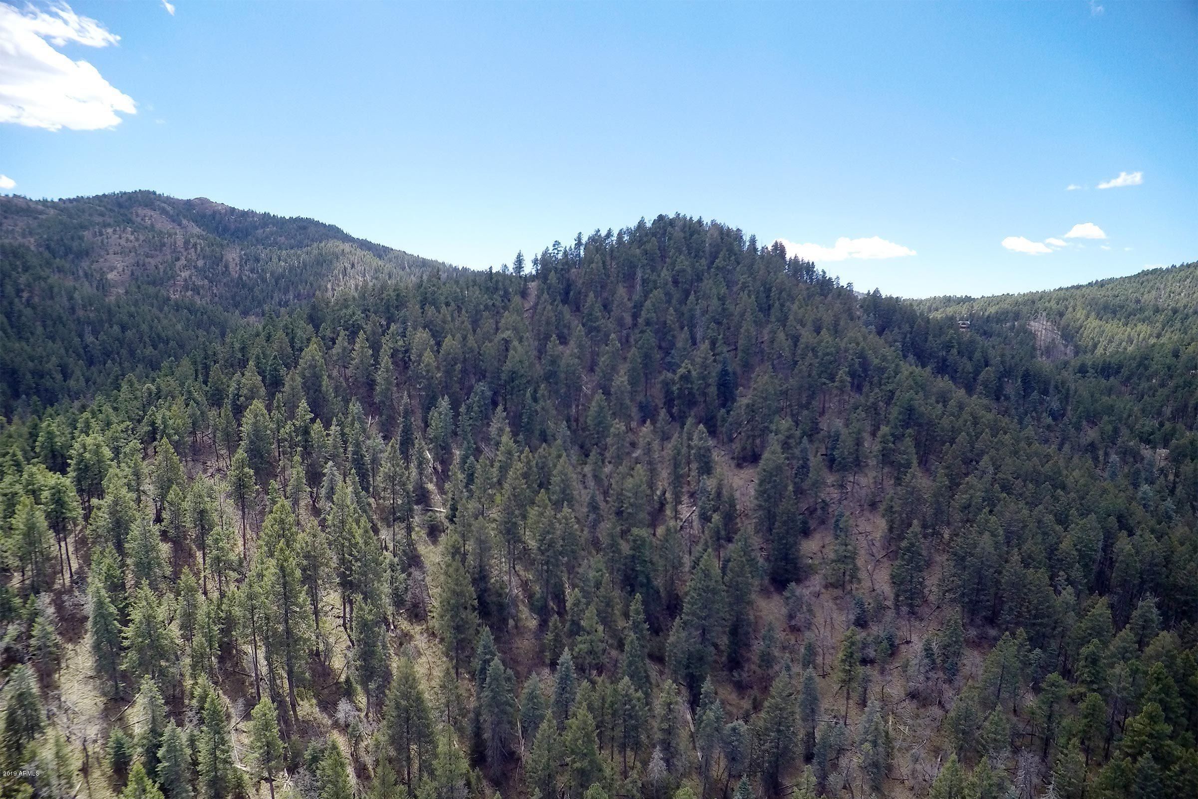 3975 East Walker Road Prescott, AZ 86303 - Photo 12 of 63 GOPR1556