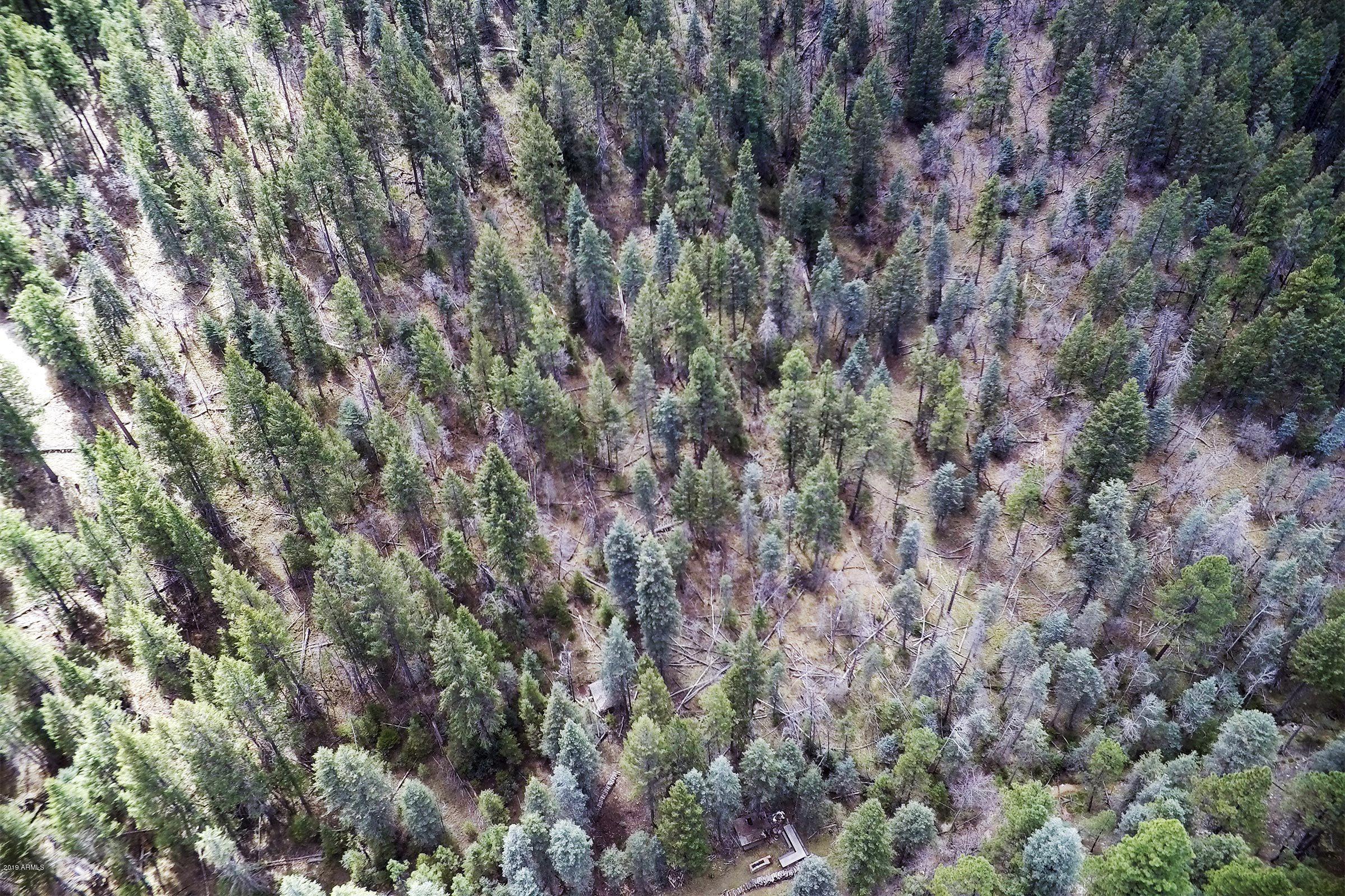 3975 East Walker Road Prescott, AZ 86303 - Photo 13 of 63 GOPR1557
