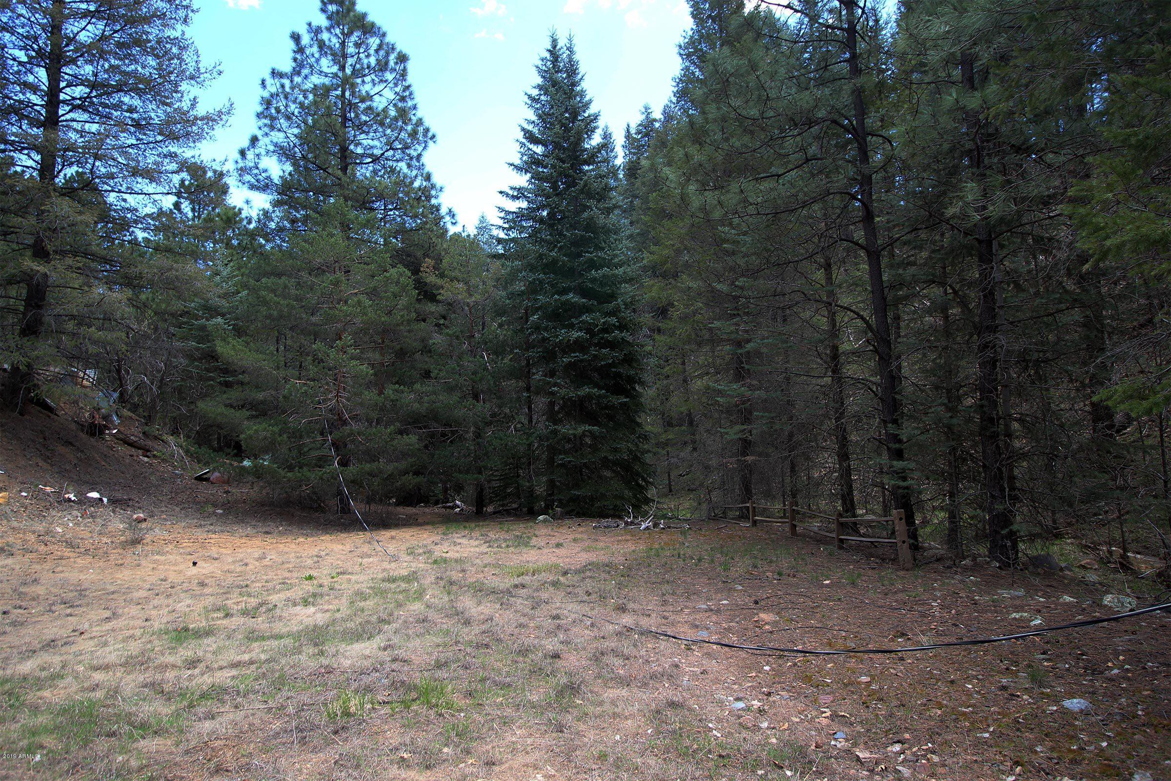 3975 East Walker Road Prescott, AZ 86303 - Photo 21 of 63 IMG_6573