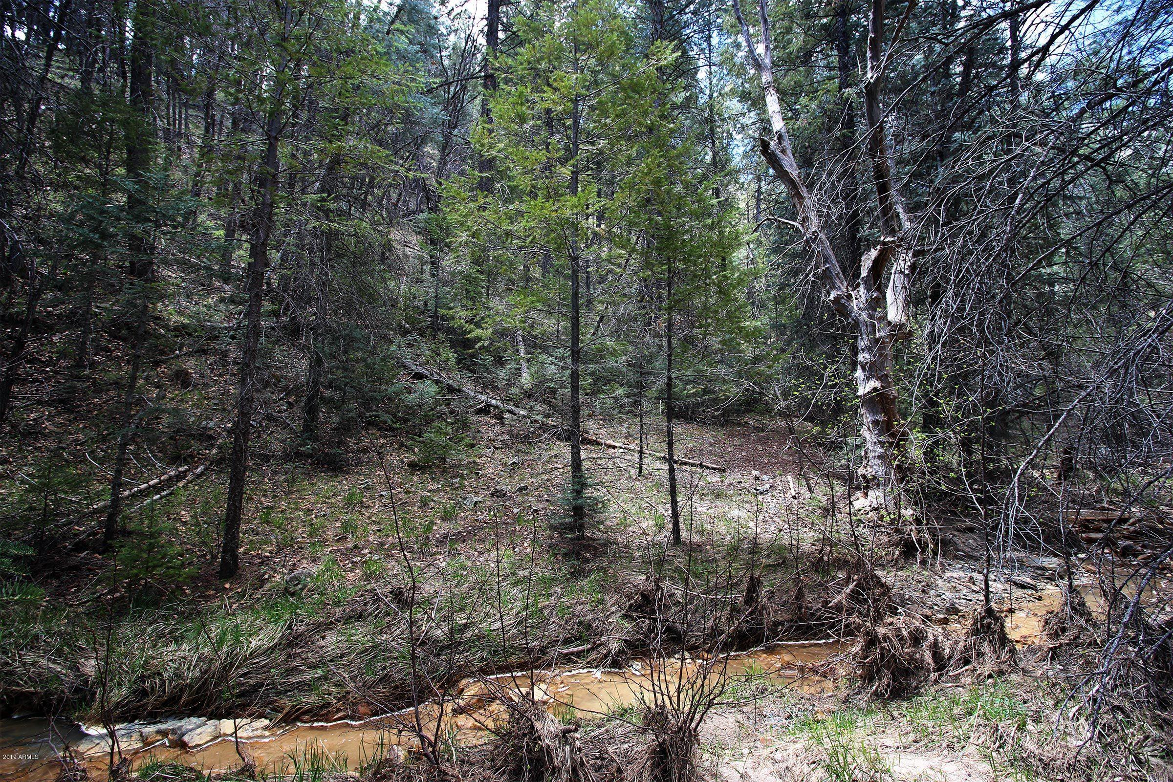 3975 East Walker Road Prescott, AZ 86303 - Photo 22 of 63 IMG_6575