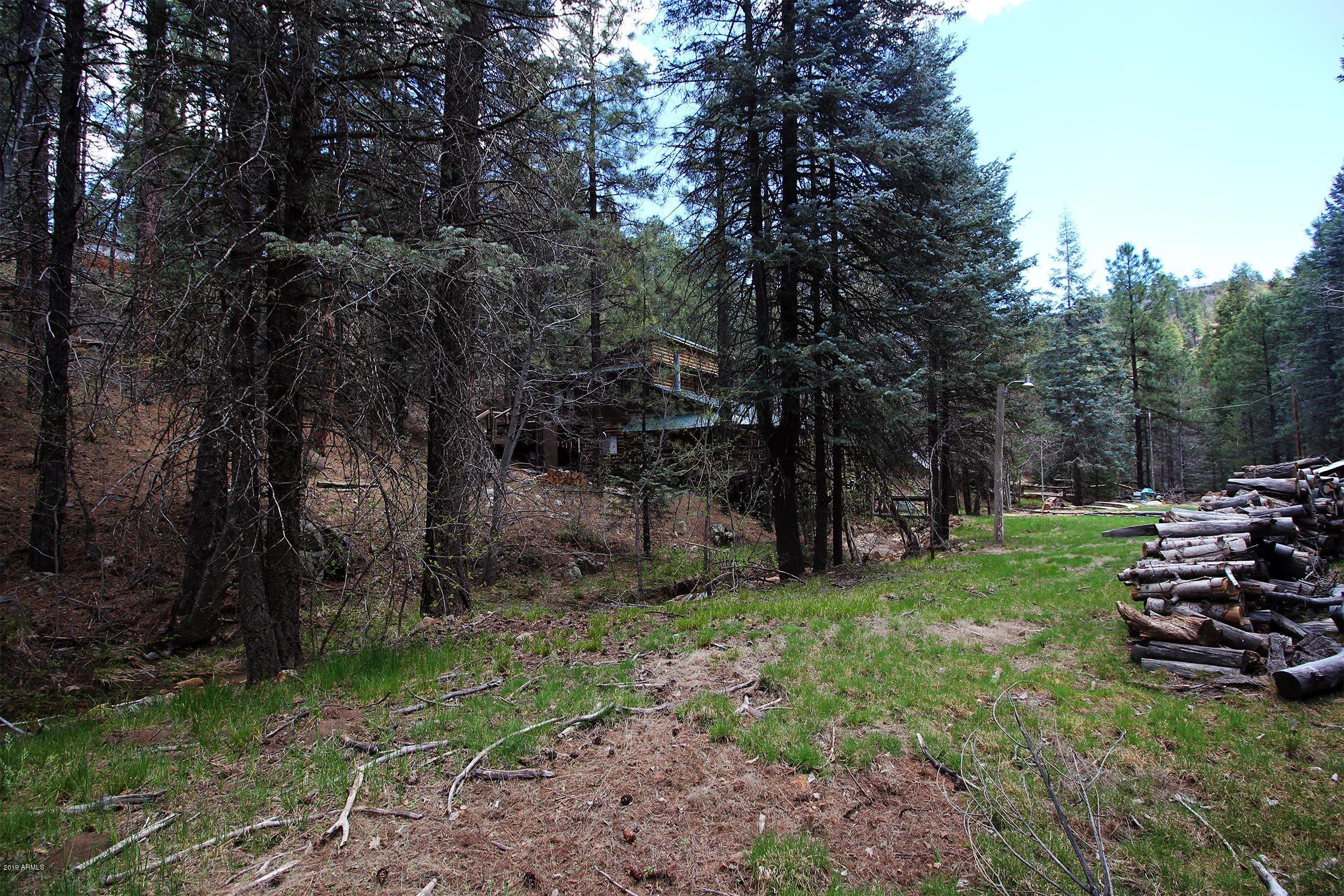3975 East Walker Road Prescott, AZ 86303 - Photo 39 of 63 IMG_6603