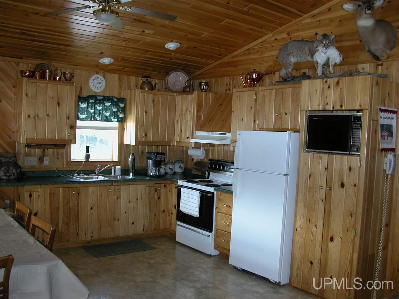 3701 Co Road Cornell, MI 49818 - Photo 3 of 28